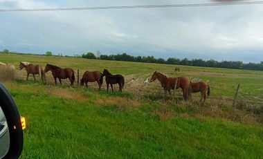 VENTA DE PARCELAS EN PARRAL CON ROL PROPIO