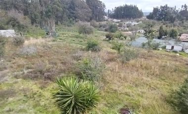 Casa 205 mtrs y Terreno 1873 mtrs Venta - Montalvo - Ambato