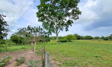 LOTE EN VENTA SECTOR  SAHAGUN  CORDOBA