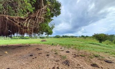 LOTE EN VENTA SECTOR  SAHAGUN  CORDOBA