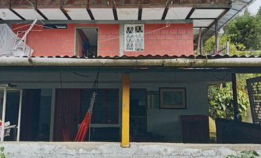 Oportunidad  Finca cafetera  zona alta de Costa Rica – Valle del Cauca