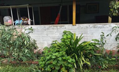 Oportunidad  Finca cafetera  zona alta de Costa Rica – Valle del Cauca