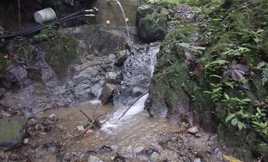 Oportunidad  Finca cafetera  zona alta de Costa Rica – Valle del Cauca