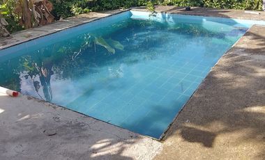 Oportunidad  Finca cafetera  zona alta de Costa Rica – Valle del Cauca