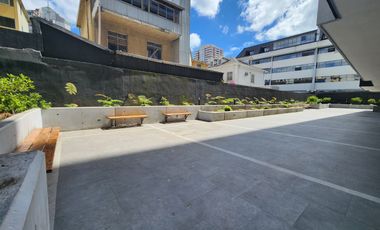 Amplio y soleado departamento de 1 dormitorio en Tucapel 262