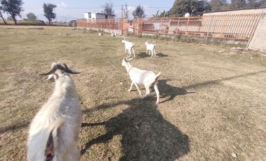 TERRENO EN VENTA EXCELENTE UBICACIÓN (ANILLO PERIFERICO SUR  Y AV. 8 DE JULIO) TLAQUEPAQUE JAL.