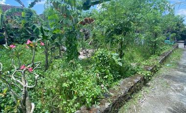 Dijual Tanah Pekarangan di Turi Tempel