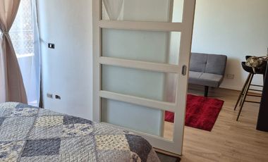 Excelente ubicación de arriendo Dieciocho 715