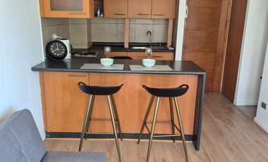 Excelente ubicación de arriendo Dieciocho 715