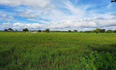 VENDO FINCA MUNICIPIO PELAYA CESAR 173 HECTAREAS