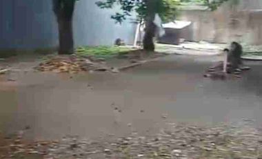 Disewakan Tanah Raya Jagakarsa