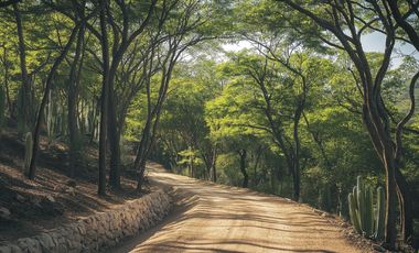 Terreno en Eco-comunidad, a 10 minutos de Mazunte.