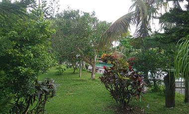 Luxury villa murah full view jungle sawah