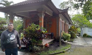 Luxury villa murah full view jungle sawah