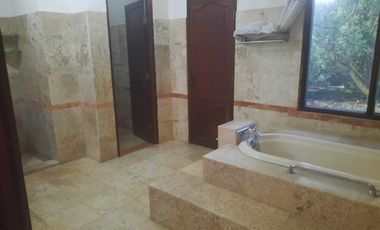 Luxury villa murah full view jungle sawah