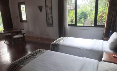 Luxury villa murah full view jungle sawah