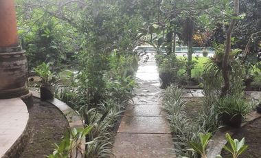 Luxury villa murah full view jungle sawah