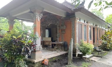 Luxury villa murah full view jungle sawah