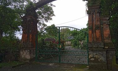 Luxury villa murah full view jungle sawah