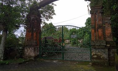 Luxury villa murah full view jungle sawah