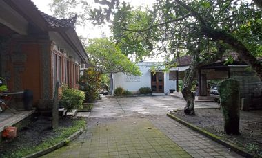 Luxury villa murah full view jungle sawah