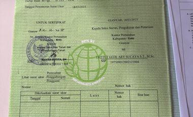 Villa termurah di ubud pejeng