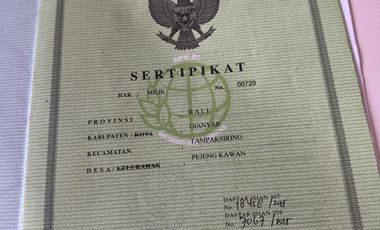 Villa termurah di ubud pejeng