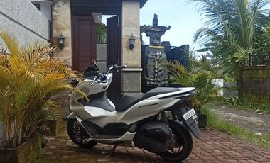 Villa termurah di ubud pejeng