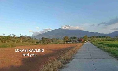 TANAH KAVLING VIEW GUNUNG PACET MOJOKERTO