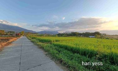 TANAH KAVLING VIEW GUNUNG PACET MOJOKERTO