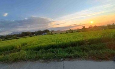 TANAH KAVLING VIEW GUNUNG PACET MOJOKERTO