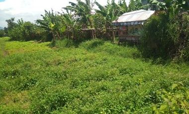 2400 M2 Tanah Strategis Buat Gudang atau Pabrik, Dekat Gerbang Tol Padalarang.