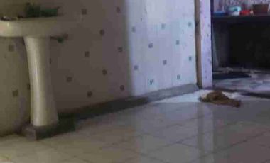 DIJUAL RUMAH SIAP HUNI DEKAT SMA TARUNA NUSANTARA 

Luas tanah 150 m2
Kt 2 , Km 2
dapur , Gudang 
SHM 
AKSES MOBIL 
HARGA 350 Juta nego