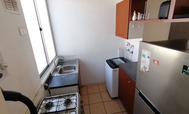 San Felipe – Arriendo Depto. Amoblado Cond. San Felipe II