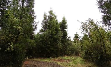 Parcela en Punucapa Alto, $ 95.000.000