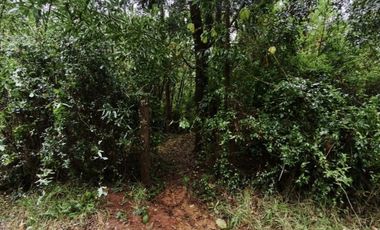 Parcela en Punucapa Alto, $ 95.000.000