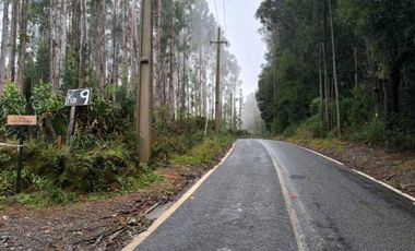 Parcela en Punucapa Alto, $ 95.000.000