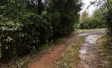 Parcela en Punucapa Alto, $ 95.000.000