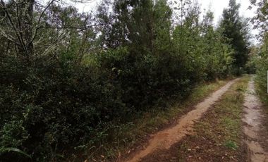 Parcela en Punucapa Alto, $ 95.000.000