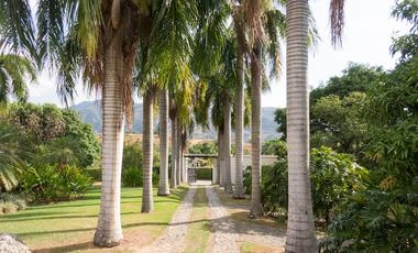 LINDA FINCA PIECUESTA LA SUFRADA 1,000.000 NOCHE3159904364