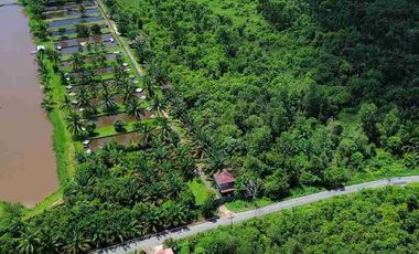 Tanah Luas Sampai Sungai Landak