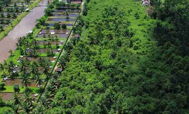 Tanah Luas Sampai Sungai Landak