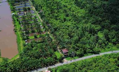 Tanah Luas Sampai Sungai Landak
