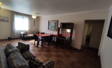 Amplio departamento/casa en 7 Norte & Los Castaños desde $750.000