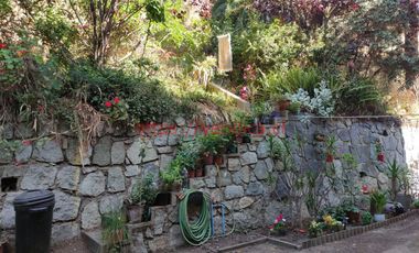 Amplio departamento/casa en 7 Norte & Los Castaños desde $750.000