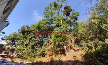 Amplio departamento/casa en 7 Norte & Los Castaños desde $750.000