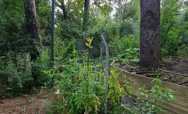 Se Vende Casa Pucon, conversable