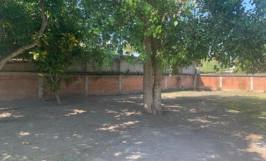 TERRENO EN CASITAS, TECOLUTLA, VERACRUZ. COL. VIRGILIO URIBE