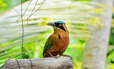 Hotel Ecolodge en Venta Cerca al Parque Tayrona, con Río, Santa Marta