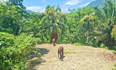 Hotel Ecolodge en Venta Cerca al Parque Tayrona, con Río, Santa Marta